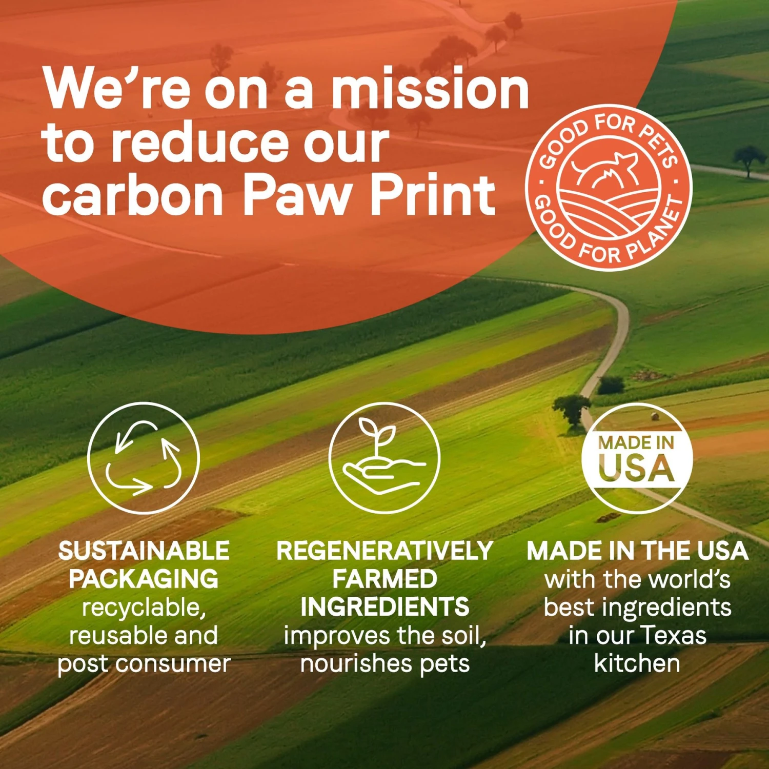 CANIDAE PURE 2-in-1 Goodness Pate Recipe Real Salmon & Sweet Potatoes In Bone Broth Wet Dog Food, 11.5-oz Box, Case Of 6 10 CANIDAE PURE 2-in-1 Goodness Pate Recipe Real Salmon & Sweet Potatoes In Bone Broth Wet Dog Food, 11.5-oz Box, Case Of 6 - Image 8