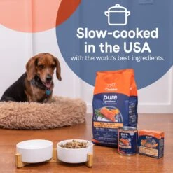 CANIDAE PURE Real Salmon & Rice Bone Broth Wet Dog Food Topper, 5.5-oz Box, Case Of 6 -Blue Buffalo || ROYAL CANIN || Wellness Sales 787158 PT4. AC SS1800 V1678713148