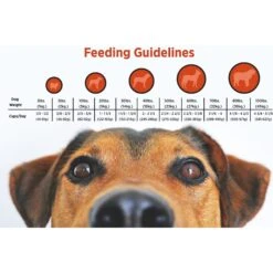 Blackwood 3000 Lamb Meal & Brown Rice Recipe Everyday Diet Dry Dog Food -Blue Buffalo || ROYAL CANIN || Wellness Sales 79162 PT4. AC SS1800 V1550528818