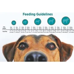 Blackwood Chicken Meal & Field Pea Recipe Grain-Free Dry Dog Food -Blue Buffalo || ROYAL CANIN || Wellness Sales 79175 PT4. AC SS1800 V1550528851