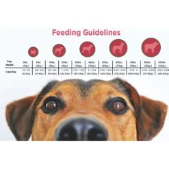 Blackwood Buffalo Meal & Field Pea Recipe Grain-Free Dry Dog Food -Blue Buffalo || ROYAL CANIN || Wellness Sales 79202 PT4. AC SS1800 V1550529120