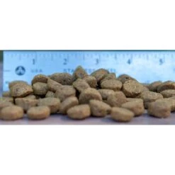 Blackwood Whitefish Meal & Oatmeal Recipe Large Breed Adult Dry Dog Food -Blue Buffalo || ROYAL CANIN || Wellness Sales 79204 PT1. AC SS1800 V1550529131