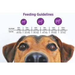 Blackwood Whitefish Meal & Oatmeal Recipe Large Breed Adult Dry Dog Food -Blue Buffalo || ROYAL CANIN || Wellness Sales 79204 PT4. AC SS1800 V1550529136