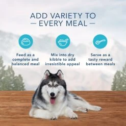 Blue Buffalo Wilderness Senior High Protein Natural Chicken & Wholesome Grains Dry Dog Food & Blue Buffalo Wilderness Turkey & Chicken Grill Grain-Free Senior Canned Dog Food -Blue Buffalo || ROYAL CANIN || Wellness Sales 796166 PT8. AC SS1800 V1678140719