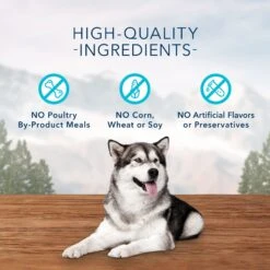 Blue Buffalo Wilderness Adult High Protein Natural Chicken & Wholesome Grains Dry Dog Food & Blue Buffalo Wilderness Trail Treats Grain-Free Duck Biscuits Dog Treats -Blue Buffalo || ROYAL CANIN || Wellness Sales 796238 PT8. AC SS1800 V1678140285
