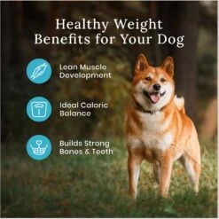 Blue Buffalo Wilderness Healthy Weight Adult High Protein Natural Chicken & Wholesome Grains Dry Dog Food & Blue Buffalo Wilderness Trail Treats Grain-Free Duck Biscuits Dog Treats -Blue Buffalo || ROYAL CANIN || Wellness Sales 796246 PT4. AC SS1800 V1678140285
