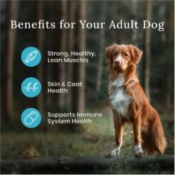 Blue Buffalo Wilderness Adult High Protein Natural Salmon & Wholesome Grains Dry Dog Food & Blue Buffalo Wilderness Trail Treats Grain-Free Salmon Biscuits Dog Treats 15 Blue Buffalo Wilderness Adult High Protein Natural Salmon & Wholesome Grains Dry Dog Food & Blue Buffalo Wilderness Trail Treats Grain-Free Salmon Biscuits Dog Treats -Blue Buffalo || ROYAL CANIN || Wellness Sales 796254 PT4. AC SS1800 V1678140283