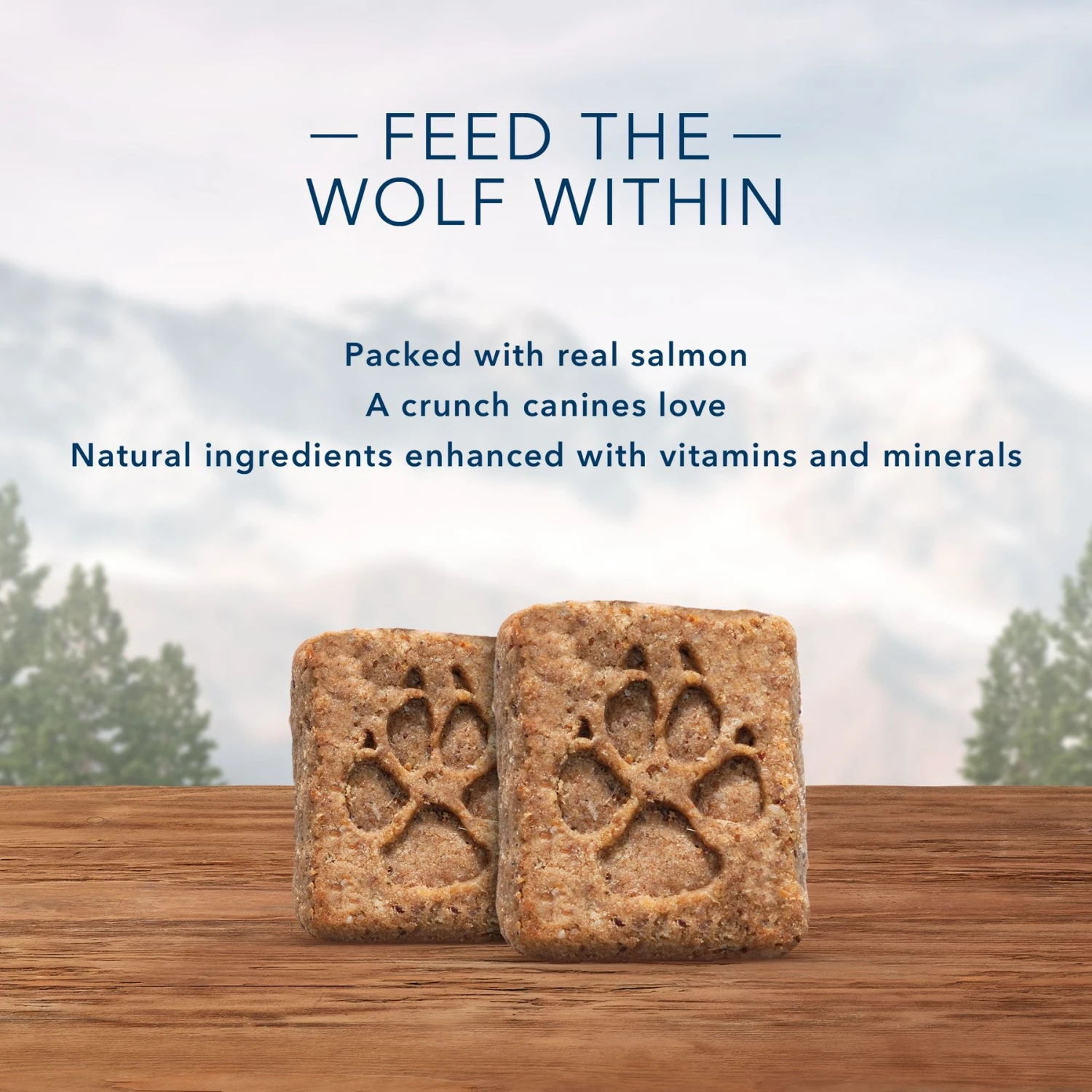 Blue Buffalo Wilderness Adult High Protein Natural Salmon & Wholesome Grains Dry Dog Food & Blue Buffalo Wilderness Trail Treats Grain-Free Salmon Biscuits Dog Treats 10 Blue Buffalo Wilderness Adult High Protein Natural Salmon & Wholesome Grains Dry Dog Food & Blue Buffalo Wilderness Trail Treats Grain-Free Salmon Biscuits Dog Treats - Image 8