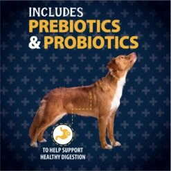 Triumph Free Spirit Grain-Free Deboned Salmon & Sweet Potato Recipe Dry Dog Food -Blue Buffalo || ROYAL CANIN || Wellness Sales 79668 PT6. AC SS1800 V1657661028