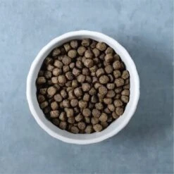 Evolve Classic Deboned Chicken & Brown Rice Recipe Dry Dog Food 14 Evolve Classic Deboned Chicken & Brown Rice Recipe Dry Dog Food -Blue Buffalo || ROYAL CANIN || Wellness Sales 79866 PT4. AC SS1800 V1608692253