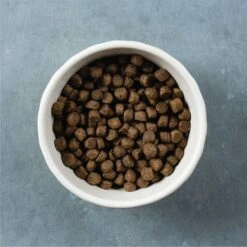 Evolve Classic Deboned Beef, Barley & Brown Rice Recipe Dry Dog Food -Blue Buffalo || ROYAL CANIN || Wellness Sales 79874 PT3. AC SS1800 V1680811206