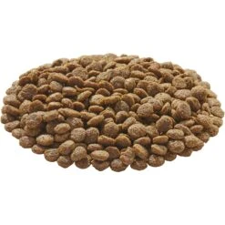 Evolve Deboned Grain-Free Salmon & Sweet Potato Recipe Dry Dog Food 12 Evolve Deboned Grain-Free Salmon & Sweet Potato Recipe Dry Dog Food -Blue Buffalo || ROYAL CANIN || Wellness Sales 79877 PT2. AC SS1800 V1545427693