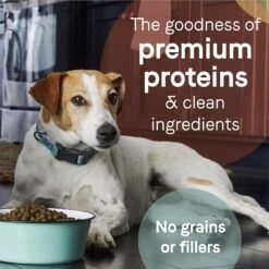 CANIDAE Grain-Free PURE Puppy Limited Ingredient Chicken, Lentil & Whole Egg Recipe Dry Dog Food -Blue Buffalo || ROYAL CANIN || Wellness Sales 79981 PT4. AC SS1800 V1643672803