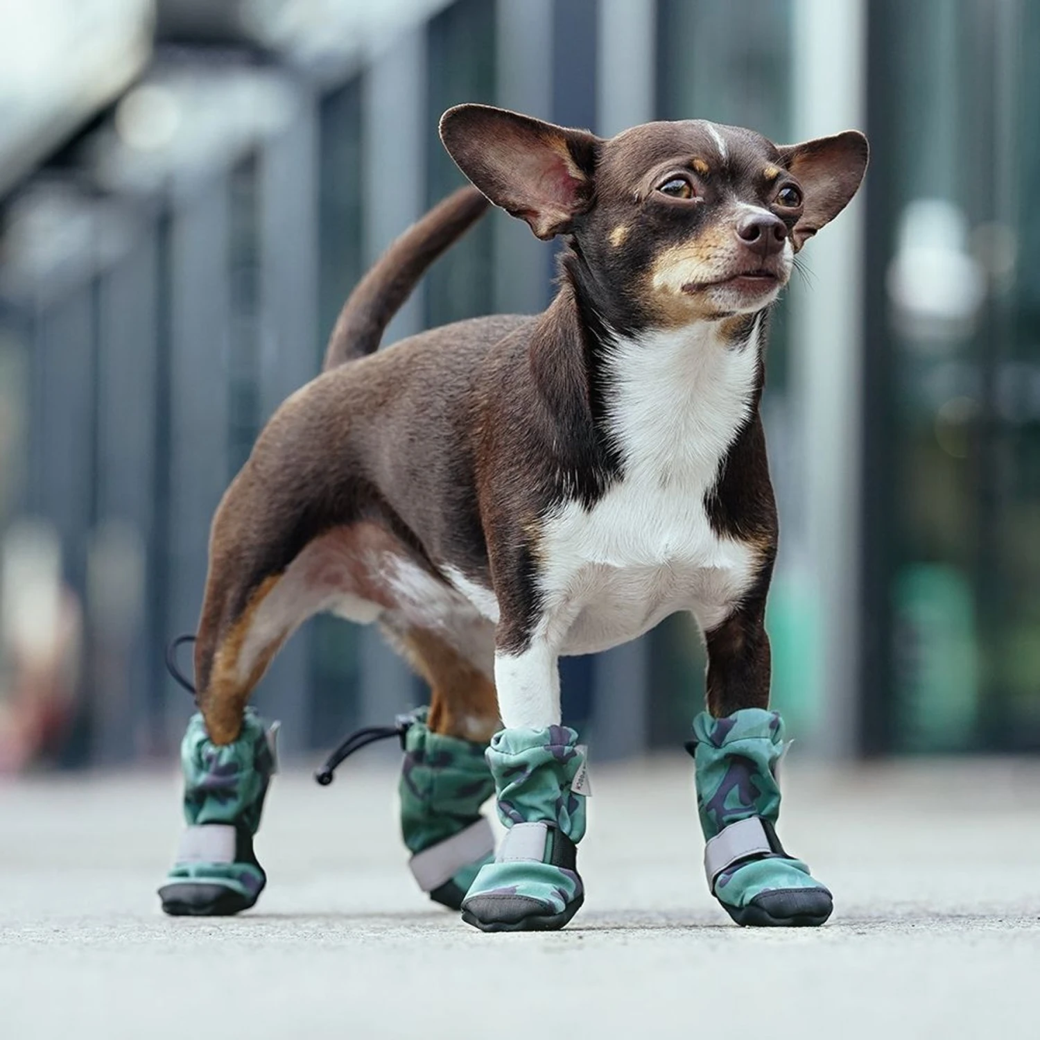 Canada Pooch Soft Shield Dog Boots 7 Canada Pooch Soft Shield Dog Boots - Image 5