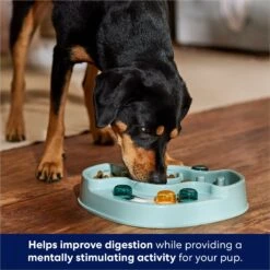 Frisco Interactive Dog & Cat Slow Feeder Bowl -Blue Buffalo || ROYAL CANIN || Wellness Sales 807414 PT2. AC SS1800 V1696254614