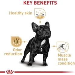 Royal Canin Breed Health Nutrition French Bulldog Adult Dry Dog Food -Blue Buffalo || ROYAL CANIN || Wellness Sales 81123 PT4. AC SS1800 V1697212427
