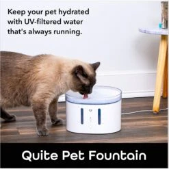 Geeni PetConnect UV Sterilized Circulating Water Smart Dog & Cat Fountain, 2-L -Blue Buffalo || ROYAL CANIN || Wellness Sales 811790 PT4. AC SS1800 V1688759852
