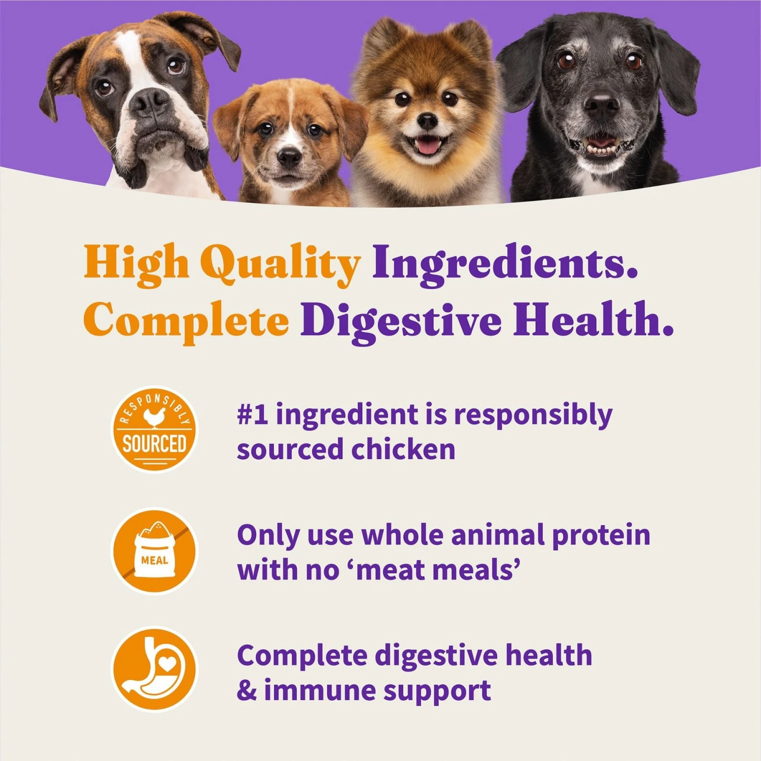 Halo Holistic Complete Digestive Health Grain-Free Chicken & Sweet Potato Recipe Senior Dry Dog Food 7 Halo Holistic Complete Digestive Health Grain-Free Chicken & Sweet Potato Recipe Senior Dry Dog Food - Image 5