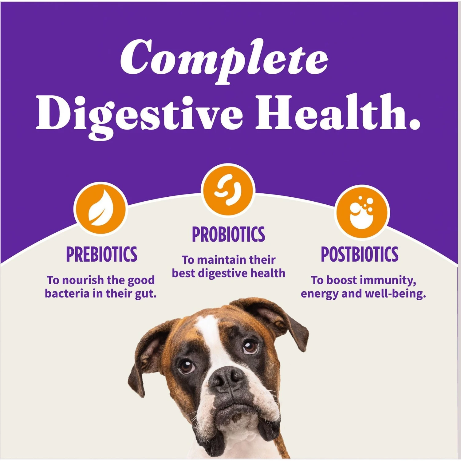 Halo Holistic Complete Digestive Health Grain-Free Chicken & Sweet Potato Recipe Senior Dry Dog Food 9 Halo Holistic Complete Digestive Health Grain-Free Chicken & Sweet Potato Recipe Senior Dry Dog Food - Image 7