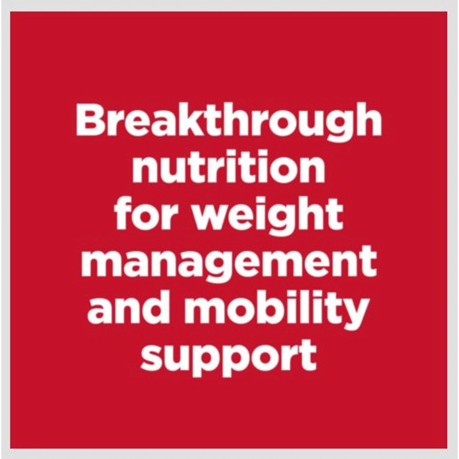 Hill's Science Diet Perfect Weight & Joint Support Chicken Flavored Adult Dry Dog Food 4 Hill's Science Diet Perfect Weight & Joint Support Chicken Flavored Adult Dry Dog Food - Image 2