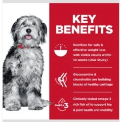 Hill's Science Diet Perfect Weight & Joint Support Chicken Flavored Adult Dry Dog Food 14 Hill's Science Diet Perfect Weight & Joint Support Chicken Flavored Adult Dry Dog Food -Blue Buffalo || ROYAL CANIN || Wellness Sales 819494 PT3. AC SS1800 V1683207482