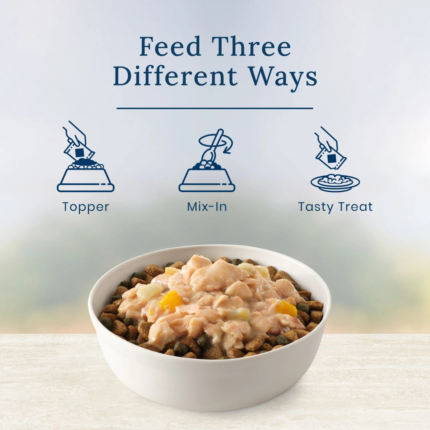 Blue Buffalo Basics LID Skin & Stomach Care Grain-Free Salmon In Gravy Adult Wet Dog Food Topper, 2.5-oz Pouch, Case Of 12 7 Blue Buffalo Basics LID Skin & Stomach Care Grain-Free Salmon In Gravy Adult Wet Dog Food Topper, 2.5-oz Pouch, Case Of 12 - Image 5