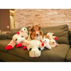 Multipet Lamb Chop Bolster Cat & Dog Bed With Removable Cover -Blue Buffalo || ROYAL CANIN || Wellness Sales 821390 PT4. AC SS1800 V1684329715