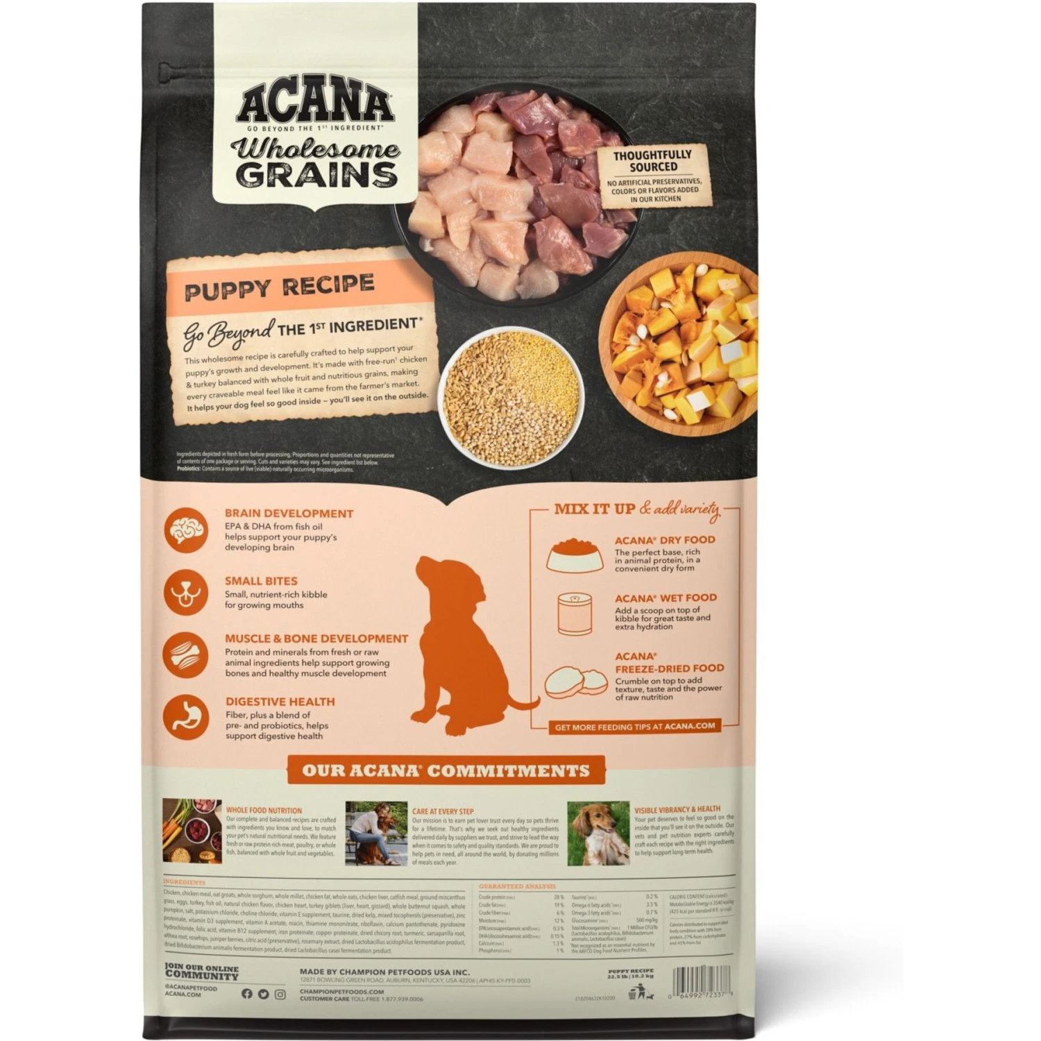 ACANA Wholesome Grains Real Chicken Eggs & Turkey Dry Puppy Food, 22.5-lb Bag 5 ACANA Wholesome Grains Real Chicken Eggs & Turkey Dry Puppy Food, 22.5-lb Bag - Image 3