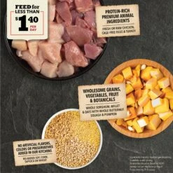 ACANA Wholesome Grains Real Chicken Eggs & Turkey Dry Puppy Food, 22.5-lb Bag 14 ACANA Wholesome Grains Real Chicken Eggs & Turkey Dry Puppy Food, 22.5-lb Bag -Blue Buffalo || ROYAL CANIN || Wellness Sales 822678 PT3. AC SS1800 V1696276591