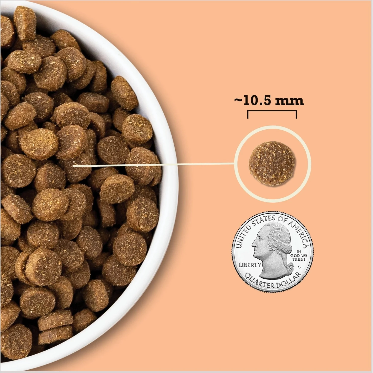 ACANA Wholesome Grains Real Chicken Eggs & Turkey Dry Puppy Food, 22.5-lb Bag 8 ACANA Wholesome Grains Real Chicken Eggs & Turkey Dry Puppy Food, 22.5-lb Bag - Image 6