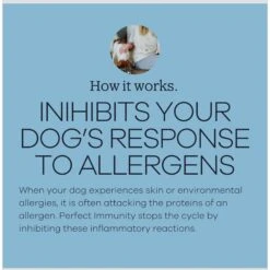 Yumwoof Natural Pet Food Perfect Immunity Dog Food Topper, 2.5-oz Jar 12 Yumwoof Natural Pet Food Perfect Immunity Dog Food Topper, 2.5-oz Jar -Blue Buffalo || ROYAL CANIN || Wellness Sales 823822 PT4. AC SS1800 V1681230812