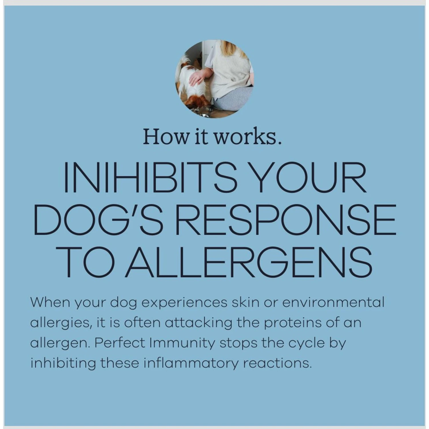 Yumwoof Natural Pet Food Perfect Immunity Dog Food Topper, 2.5-oz Jar 7 Yumwoof Natural Pet Food Perfect Immunity Dog Food Topper, 2.5-oz Jar - Image 5