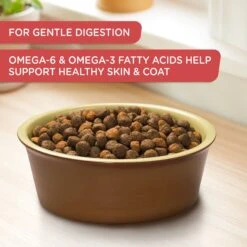 Rachael Ray Nutrish Real Salmon, Veggies & Brown Rice Recipe Gentle Digestion Dry Dog Food 15 Rachael Ray Nutrish Real Salmon, Veggies & Brown Rice Recipe Gentle Digestion Dry Dog Food -Blue Buffalo || ROYAL CANIN || Wellness Sales 824998 PT4. AC SS1800 V1681145140