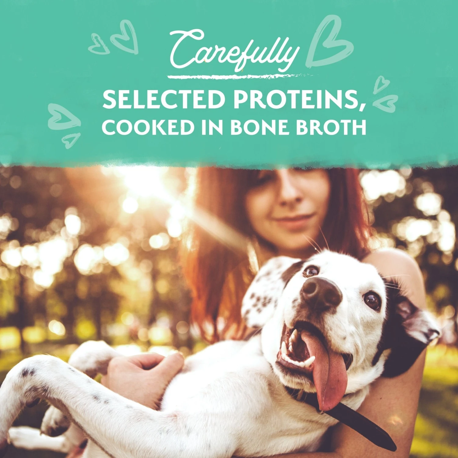 Natural Balance Limited Ingredient Grain-Free Chicken Stew Wet Dog Food, 11-oz Box, Case Of 12 5 Natural Balance Limited Ingredient Grain-Free Chicken Stew Wet Dog Food, 11-oz Box, Case Of 12 - Image 3