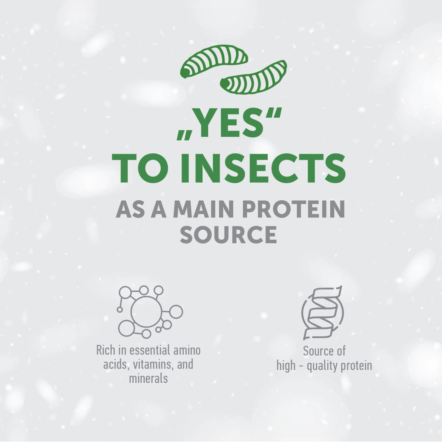 Nature's Protection Superior Care White Grain-Free Insect Adult Small Breed Dry Dog Food 5 Nature's Protection Superior Care White Grain-Free Insect Adult Small Breed Dry Dog Food - Image 3