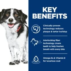 Hill's Science Diet Oral Care Small & Mini Chicken Recipe Adult Dry Dog Food -Blue Buffalo || ROYAL CANIN || Wellness Sales 825798 PT5. AC SS1800 V1689970360