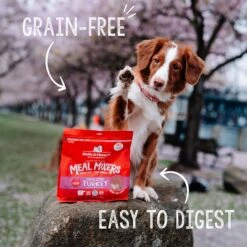Stella & Chewy's Freeze-Dried Grain-Free Protein Rich Recipe Raw Tantalizing Turkey Meal Mixer Dog Food Topper, 35-oz Bag -Blue Buffalo || ROYAL CANIN || Wellness Sales 826014 PT4. AC SS1800 V1683553477