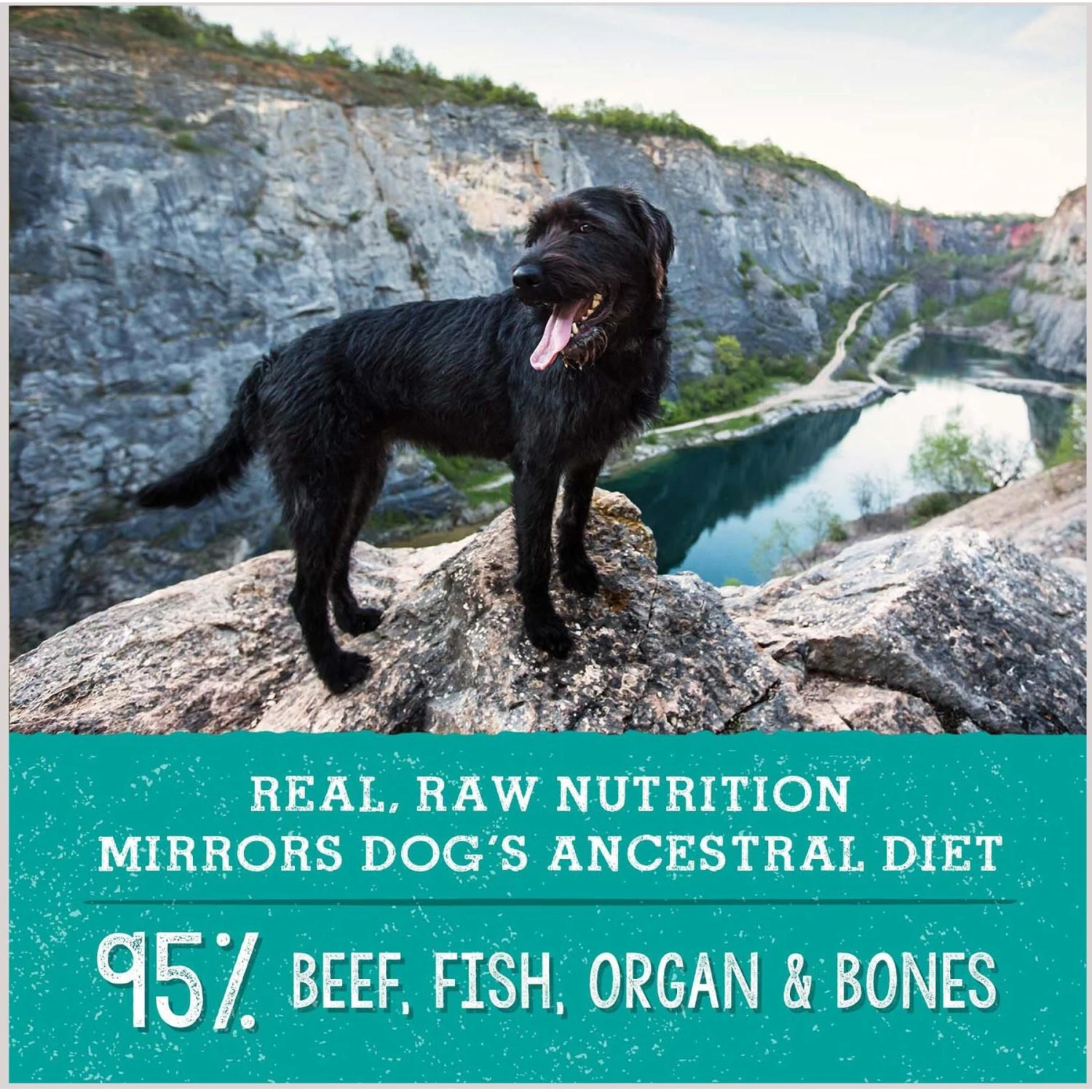 Stella & Chewy's Freeze-Dried Grain-Free Protein Rich Recipe Raw Surf & Turf Meal Mixer Dog Food Topper, 8-oz Bag 8 Stella & Chewy's Freeze-Dried Grain-Free Protein Rich Recipe Raw Surf & Turf Meal Mixer Dog Food Topper, 8-oz Bag - Image 6