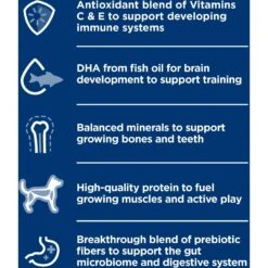 Hill's Science Diet Puppy Small & Mini Beef & Barley Entrée Canned Dog Food, 5.8-oz Can, 24 Count -Blue Buffalo || ROYAL CANIN || Wellness Sales 838262 PT4. AC SS1800 V1684440829