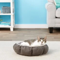 Aspen Pet Round Puffy Bolster Cat & Dog Bed, Color Varies 10 Aspen Pet Round Puffy Bolster Cat & Dog Bed, Color Varies -Blue Buffalo || ROYAL CANIN || Wellness Sales 83873 PT3. AC SS1800 V1566315164