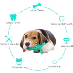 Hanamya Slower With Press Button Dog & Cat Feeder, Blue -Blue Buffalo || ROYAL CANIN || Wellness Sales 838798 PT2. AC SS1800 V1697645766