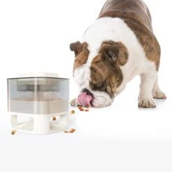 Hanamya Slower With Press Button Dog & Cat Feeder, Blue -Blue Buffalo || ROYAL CANIN || Wellness Sales 838798 PT6. AC SS1800 V1697811398
