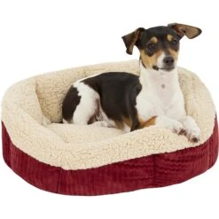 Aspen Pet Self-Warming Bolster Cat & Dog Bed, Warm Spice/Cream 11 Aspen Pet Self-Warming Bolster Cat & Dog Bed, Warm Spice/Cream -Blue Buffalo || ROYAL CANIN || Wellness Sales 83889 PT3. AC SS1800 V1566315440