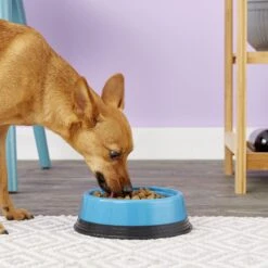 JW Pet Skid Stop Basic Non-Skid Plastic Dog & Cat Bowl, Color Varies -Blue Buffalo || ROYAL CANIN || Wellness Sales 83913 PT8. AC SS1800 V1542654245