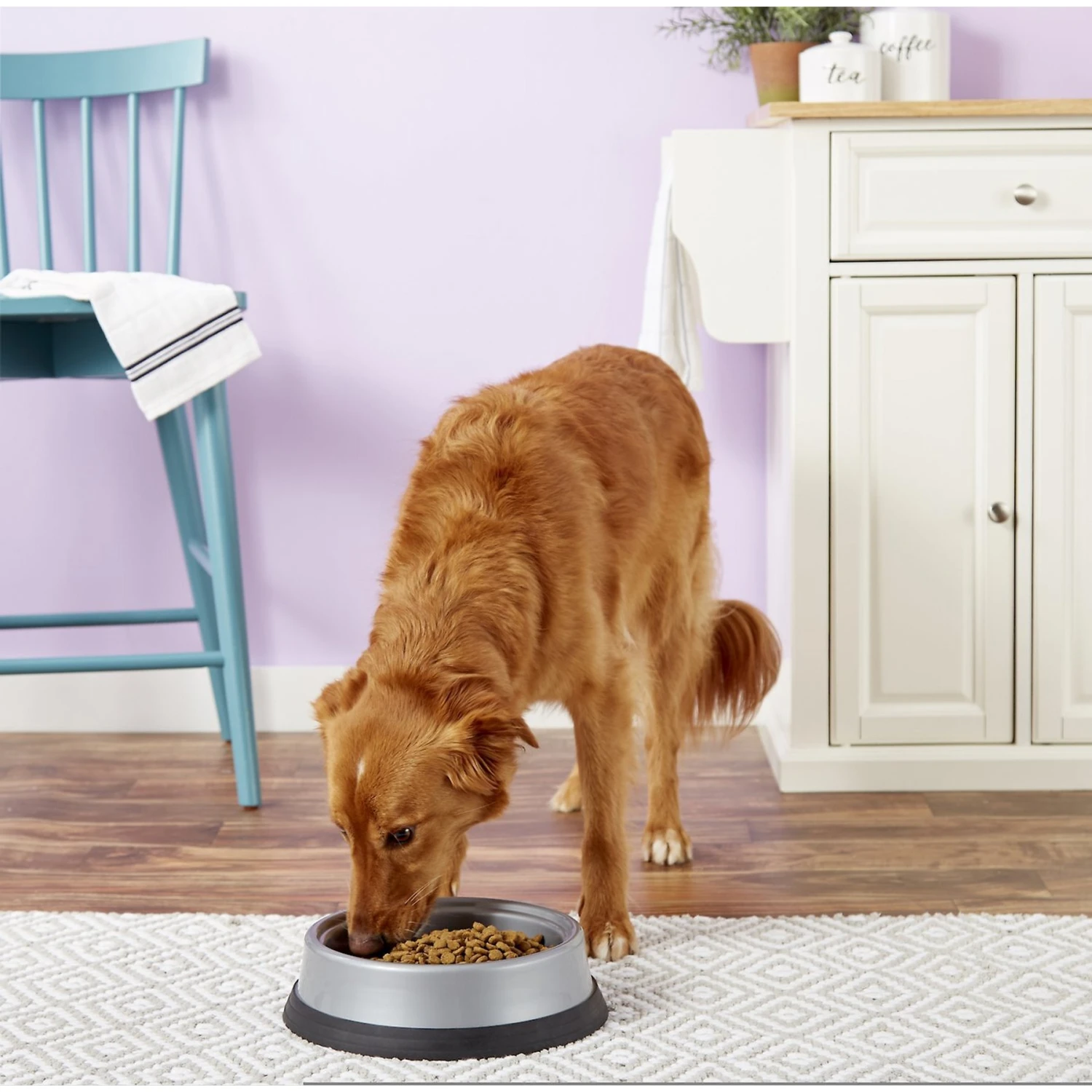 JW Pet Skid Stop Heavyweight Non-Skid Plastic Dog & Cat Bowl 4 JW Pet Skid Stop Heavyweight Non-Skid Plastic Dog & Cat Bowl - Image 2