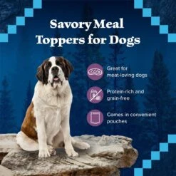 Blue Buffalo Wilderness Trail Toppers Wild Cuts Chunky Beef Bites In Hearty Gravy Grain-Free Dog Food Topper -Blue Buffalo || ROYAL CANIN || Wellness Sales 84136 PT3. AC SS1800 V1646777792
