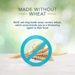 Blue Buffalo Freedom Adult Beef Recipe Grain-Free Canned Dog Food -Blue Buffalo || ROYAL CANIN || Wellness Sales 84146 PT4. AC SS1800 V1585084599