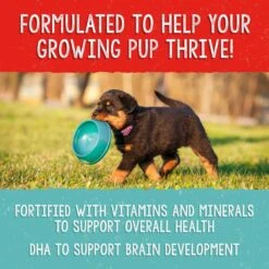 Stella & Chewy's Freeze-Dried Raw Meal Mixers Grain-Free Protein Rich Beef & Salmon Recipe Dog Food -Blue Buffalo || ROYAL CANIN || Wellness Sales 842070 PT5. AC SS1800 V1683561628