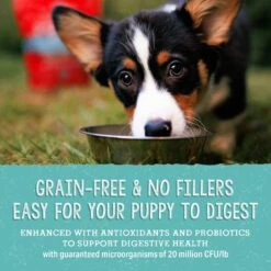 Stella & Chewy's Freeze-Dried Raw Meal Mixers Grain-Free Protein Rich Beef & Salmon Recipe Dog Food -Blue Buffalo || ROYAL CANIN || Wellness Sales 842070 PT6. AC SS1800 V1683561688