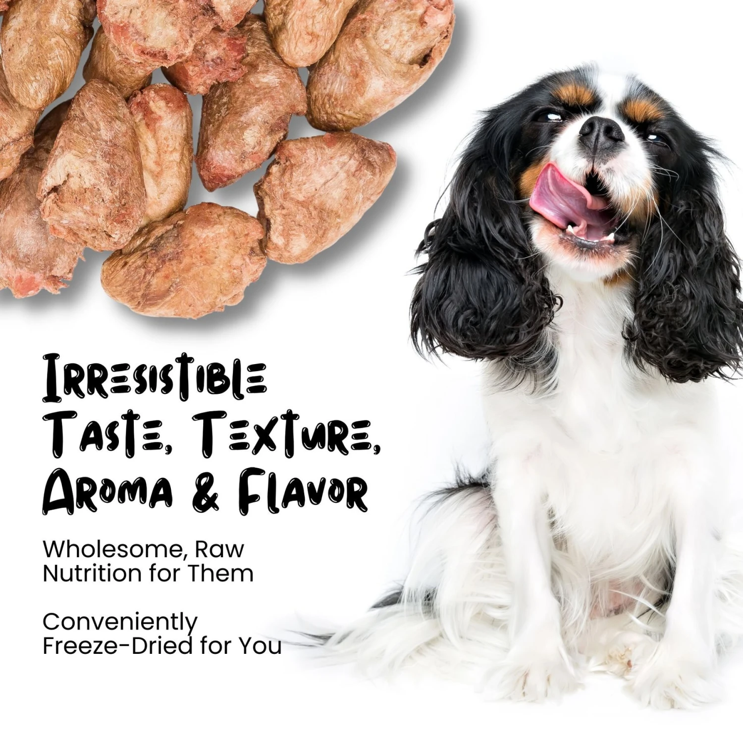 Sprankles Chicken Hearts Grain-Free Freeze-Dried Dog Treats 6 Sprankles Chicken Hearts Grain-Free Freeze-Dried Dog Treats - Image 4